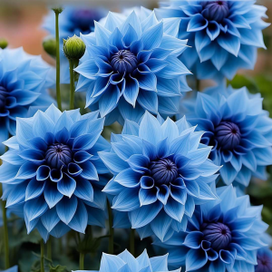 Георгин Вижапе купить по цене от 699р. в интернет-магазине «Посадика» с доставкой почтой в в Родникие и по всей России – [изображение №1].